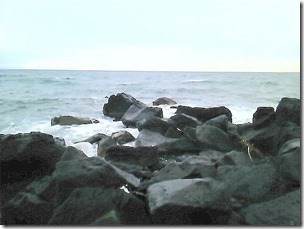 date20111120-5