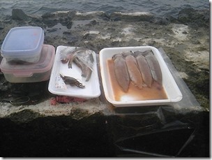 rebunnge20111120-5