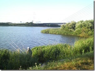 barato20110824