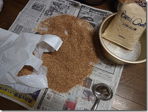 koiesa20220820-11