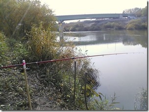 koi20131031_10_18