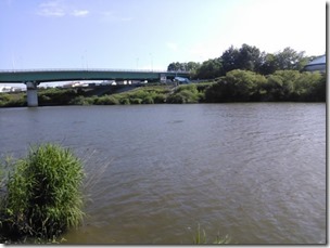 koi20130715-1