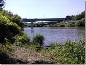 koi20130715-9