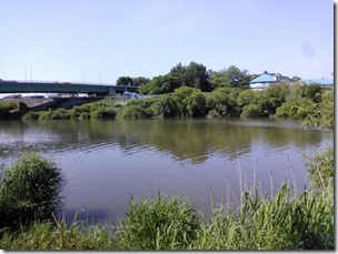 koi20130715