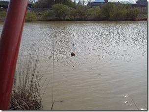 koi20120520-2-2