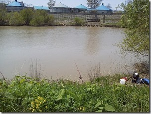 koi20120520-5－2