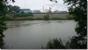 chitosegawa20140819-3