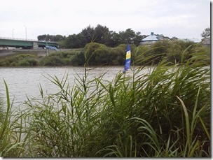 koi20120812-6_thumb[1]