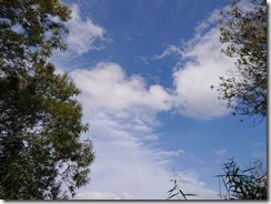chitosegawa20190922 (15)
