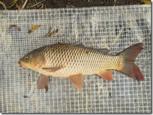 20121028-10_1