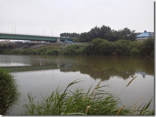 koi20120805-8