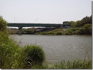 koi20120630