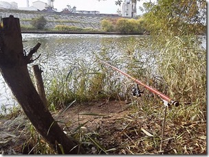 koi20121020-10111