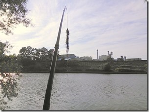 koi201309-5