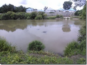 chitosegawa20130820