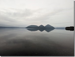 431