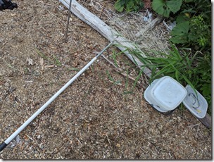 PXL_20230730_045144736.MP