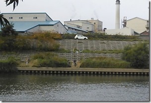 koi20131006-6