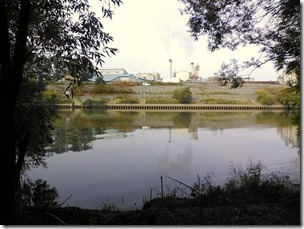 koi20131006