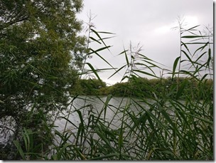 koi2021091231