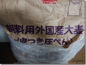 oomugi