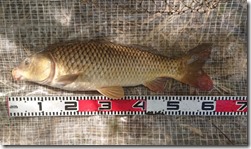 koi2021090520