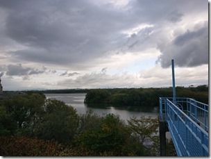 DSC_1362