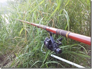 koi20120729-3
