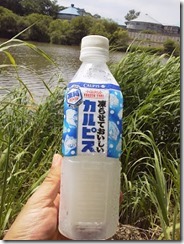 koi20120729-6