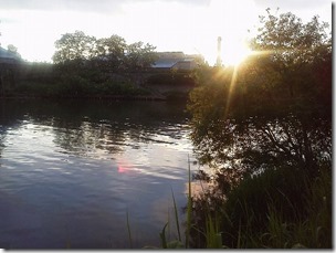 koi20120624-14