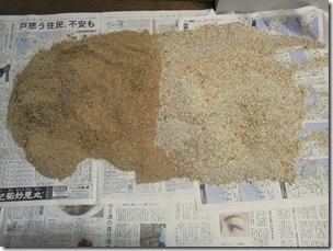 komase20121026-5