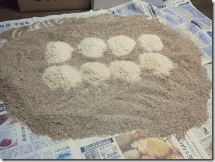 komase20121026-7