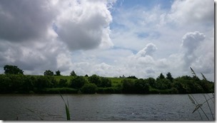 koi20140629-11