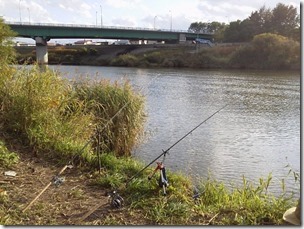 koi20121020-11