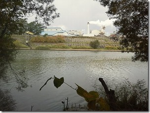 koi20121020-1
