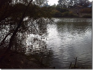 koi20121020-9