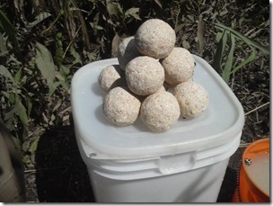 chitosegawa20110821-14