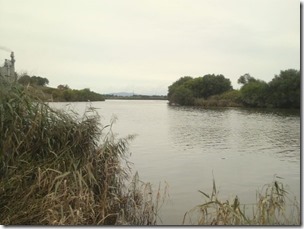 chitosegawa20110919