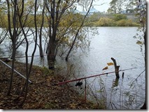 koi20121104-11_1