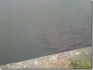 koi20141013-6
