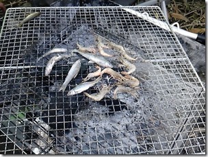 chitosegawa20111103-7