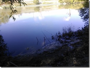 koi20131013-4_1
