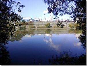 koi20131013