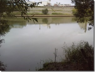 koi20120929-1
