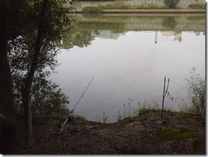 koi20120929-4