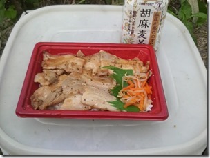 chitosegawa20110730-3