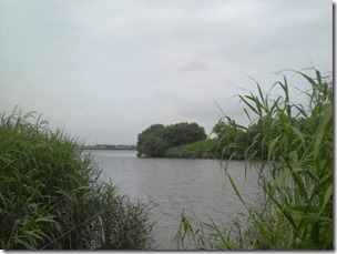 chitosegawa20110730
