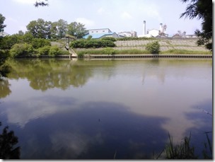 koi20130707-2