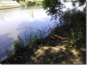 koi20130707-4