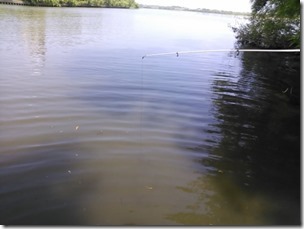 koi20130707-9